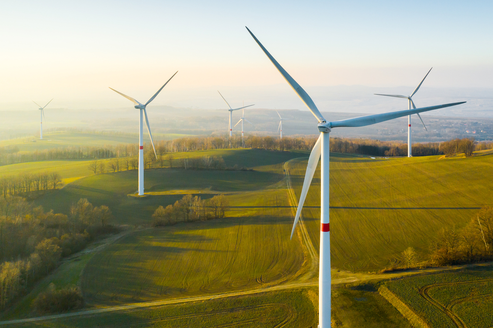 A field of wind turbines creating wind energy.